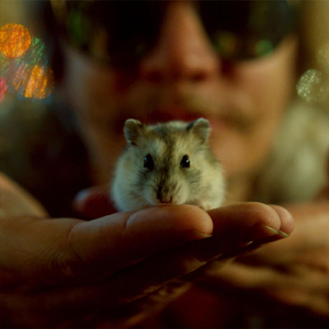 An Existential Eve with My Pet Hamster (Radio Edit)