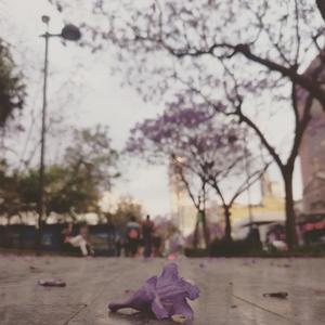 Conexión eterna (feat. Choco)