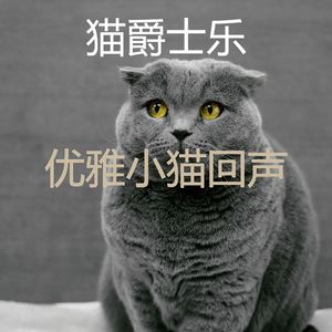 有趣小猫情怀