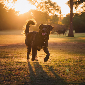 Movimiento De Tambor Suave