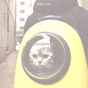 优美可爱猫咪器乐