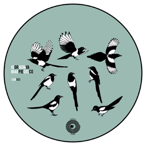 Magpie Disco (Original Mix)