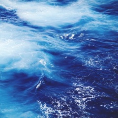 爱你痛到不知痛