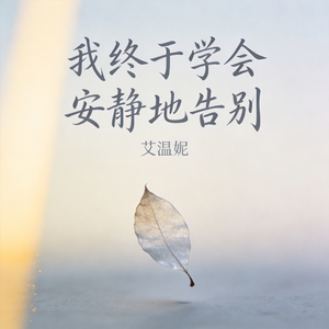 我终于学会安静地告别