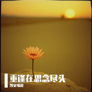 在思念裂缝中重逢