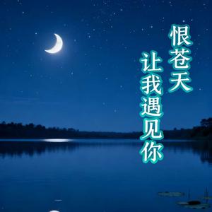 恨苍天让我遇见你