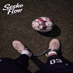 SESKO FLOW