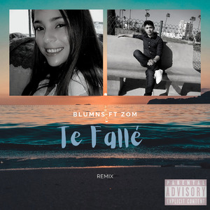 Te Fallé (Remix)