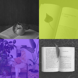 柔和的学校时刻