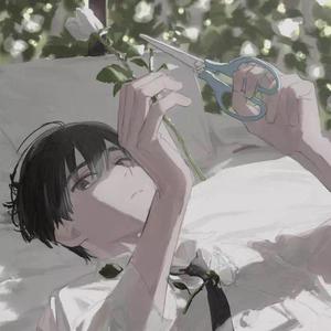 阿拉斯加海湾（吉他版）
