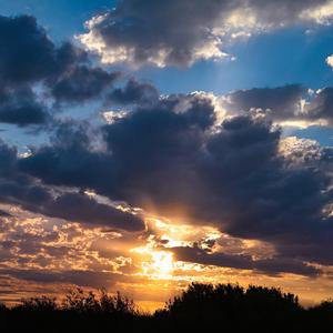 想要靠人人会老