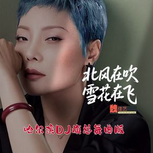 魏佳艺-北风在吹雪花在飞(哈尔滨DJ旗总2026Remix广场舞鬼步舞舞曲版)