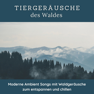 Entspannungsverfahren