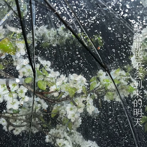 永夜前的最后一缕黄昏