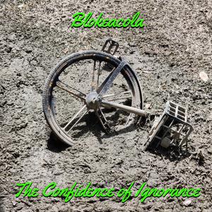 The Confidence of Ignorance