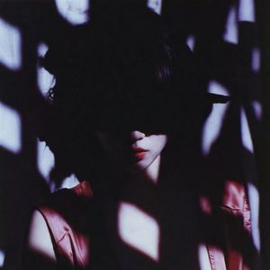 Soksagimcheoreom Gakkai