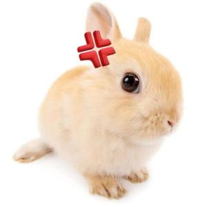 i didnt know what to name this