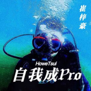 自我成Pro