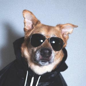 Various Artists-Gas Pedal（A终遇你 remix）