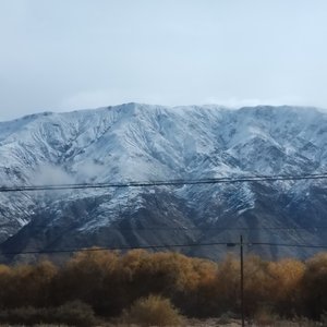 爱你和理智 不会同一时间存在