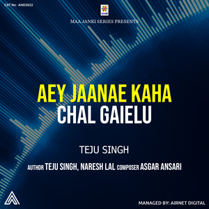 Aey Jaanae Kaha Chal Gaielu