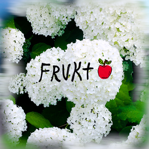 Frukt