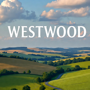 The Quiet After the Rain