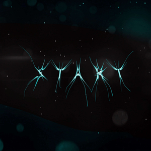 Мое Виденье