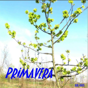 Anine