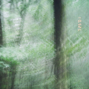 缓缓游向深蓝色中心