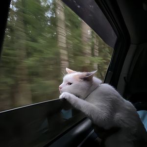 过眼云烟（Piano Ver.）