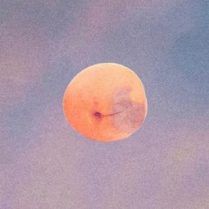 卖杏人 (feat. 飘三爷的小喇叭) 伴奏