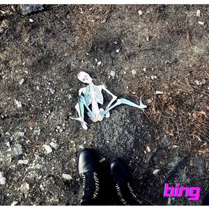 Bing