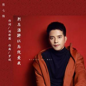别在酒醉以后说爱我