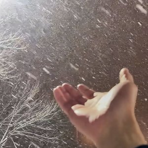 多想成为你的冬季最安静的暖意