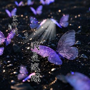 黑神话之我是泥蝶