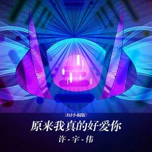 原来我真的好爱你 (DJ小桐版)