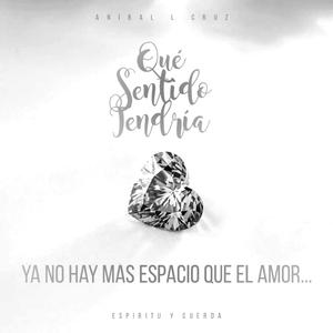 Qué Sentido Tendría?