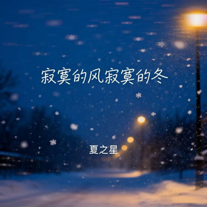 寂寞的风寂寞的冬