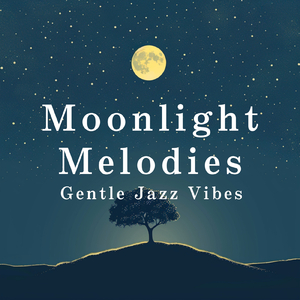 Beneath the Silent Moon