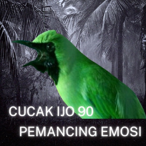 Cucak Ijo Pemancing Emosi (Live)