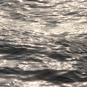 대체로 너를 사랑했던 날이었다