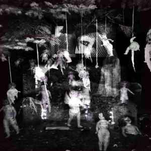 Morbid Jack #butterflies