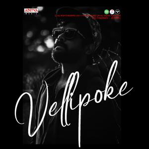 Vellipoke