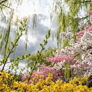 放过自己睡个好觉 (Cover 王佳音)