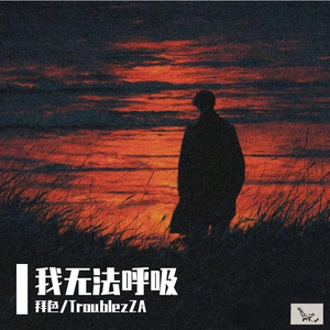 我无法呼吸