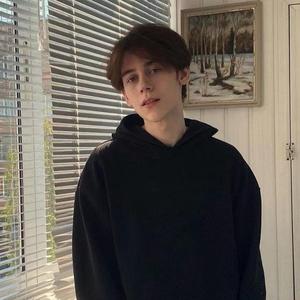 狐狸的童话