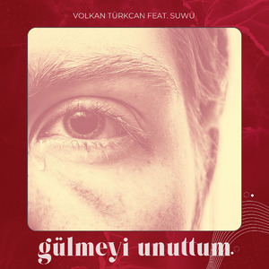 Gülmeyi Unuttum