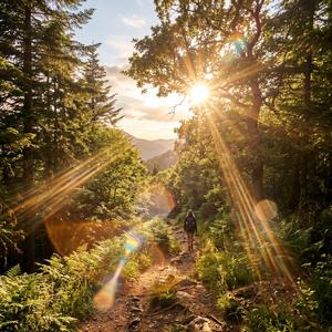 Don't know what's mine anymore