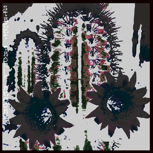 Créatures